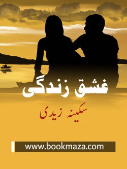 Ishq Zindagi Novel by Sukaina Zaidi